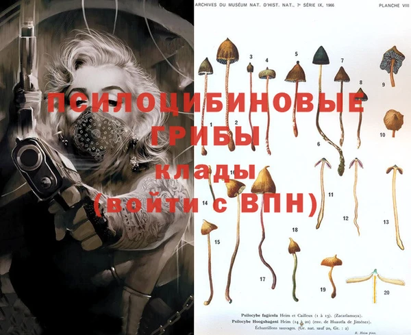 прущие крисы Новодвинск