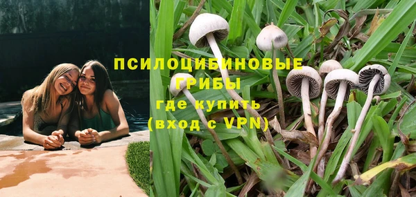 прущие крисы Новодвинск