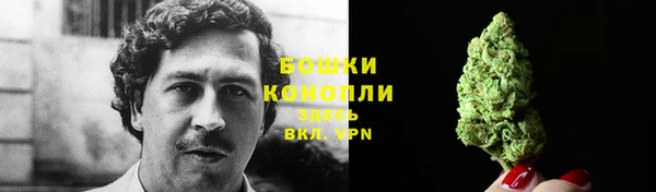 прущие крисы Новодвинск