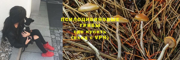 mdpv Новокубанск