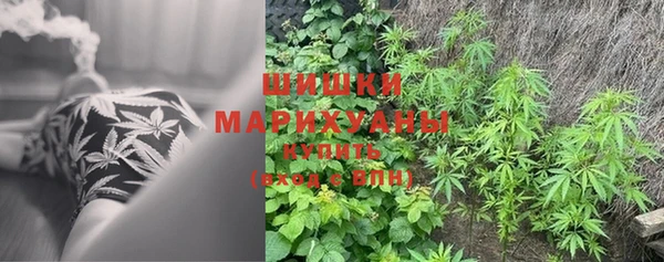 МДПВ Новозыбков