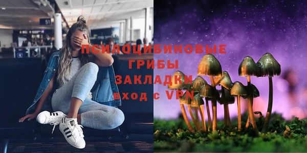 прущие крисы Новодвинск