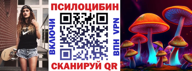кракен онион  Сургут  Псилоцибиновые грибы MAGIC MUSHROOMS 