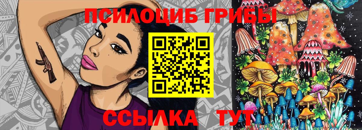 Галлюциногенные грибы MAGIC MUSHROOMS  Вход с VPN  Псилоцибиновые грибы Magic Shrooms  Сургут 