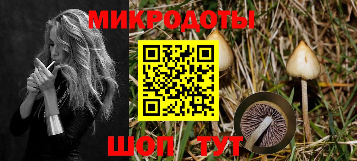 Галлюциногенные грибы MAGIC MUSHROOMS Сургут